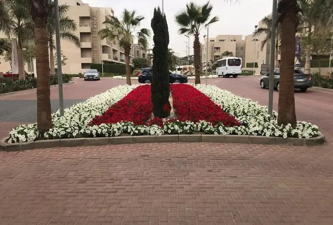 8467413 - Property Main Image