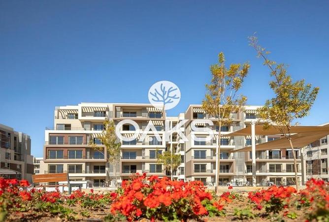 7981150 - Property Image 3