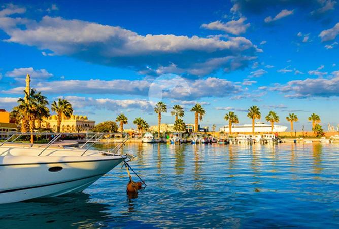 8539800 - صورة العقار 3