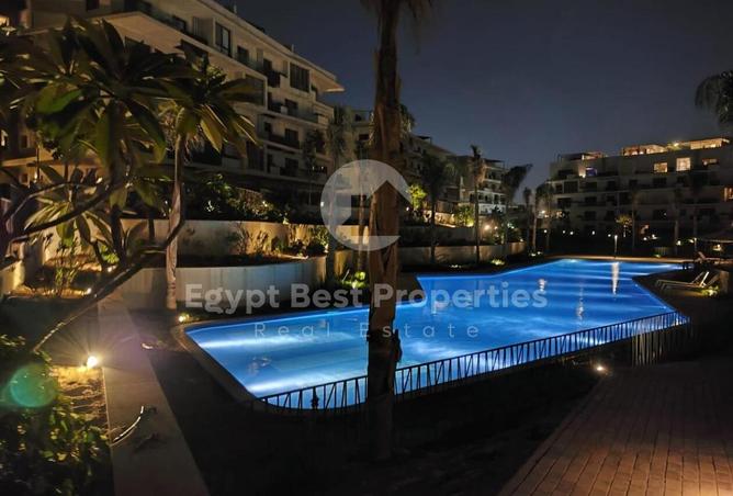 7913163 - Property Image 3