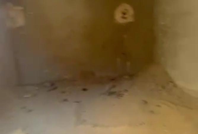 8474405 - Property Image 2