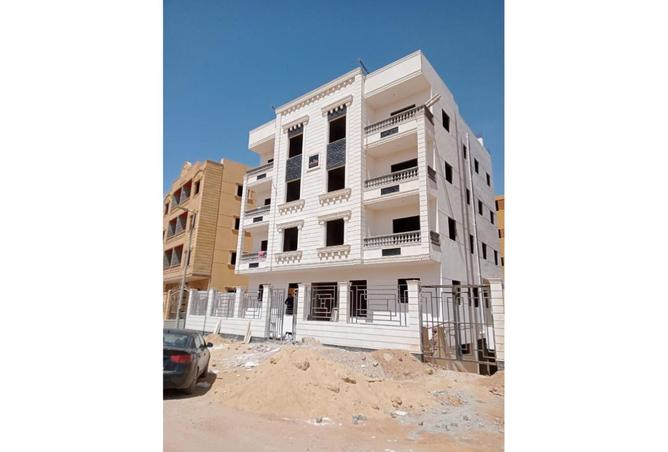 8278003 - Property Image 3