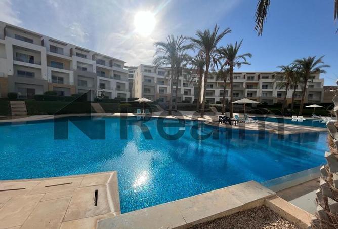 8513435 - صورة العقار 3