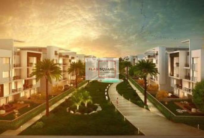 8118279 - Property Image 3