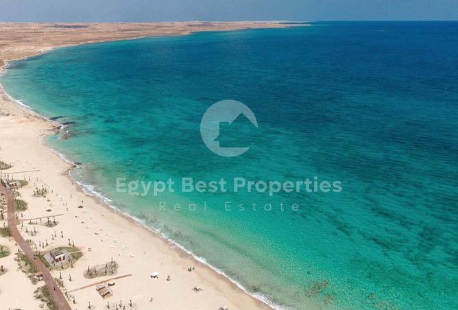 8155188 - صورة العقار 2