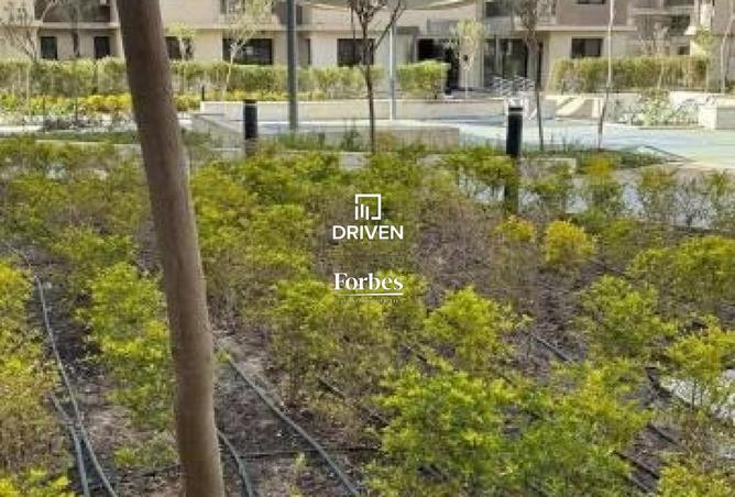 8159019 - Property Image 3