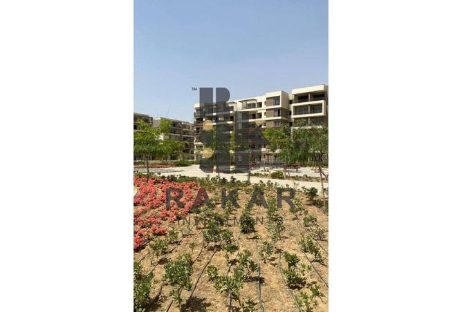 8234941 - Property Image 3