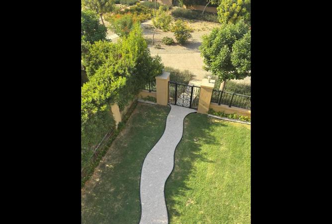 8110236 - Property Image 3