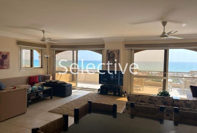 8005664 - Property Image 3