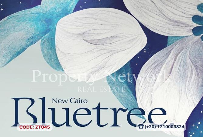 8471526 - Property Image 2