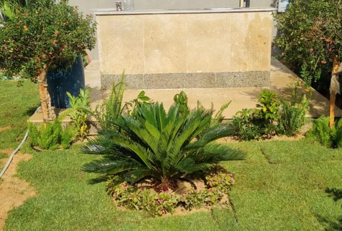 8439650 - Property Image 3