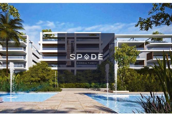 8192666 - Property Image 3