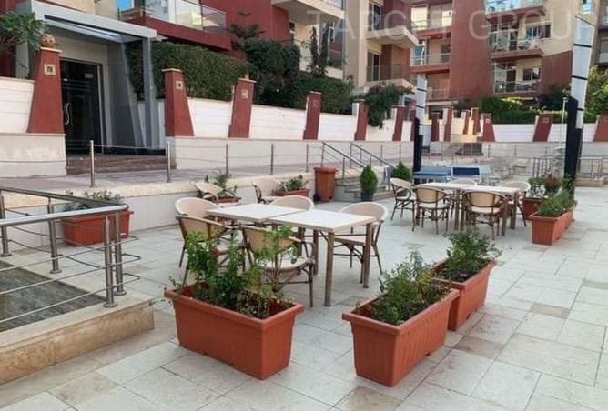 8149095 - Property Image 3