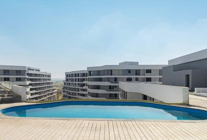 8216075 - Property Image 2