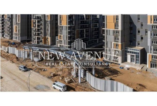 8252424 - Property Image 2