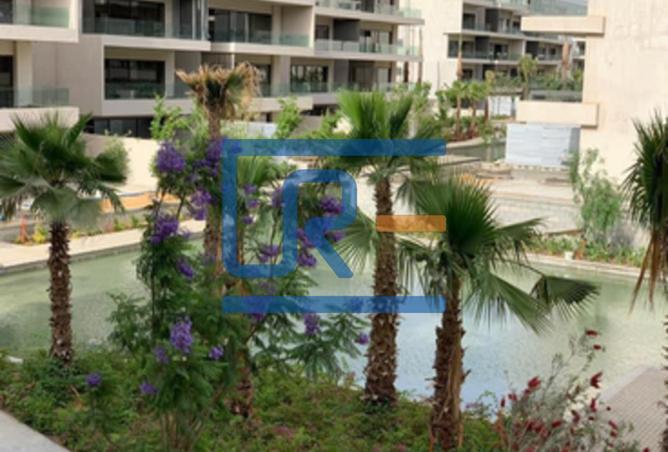8024132 - صورة العقار 3