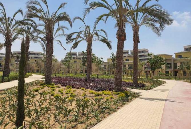 7961079 - الصورة الرئيسية للعقار