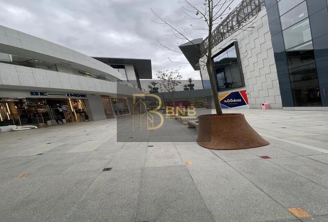 7969883 - Property Image 3