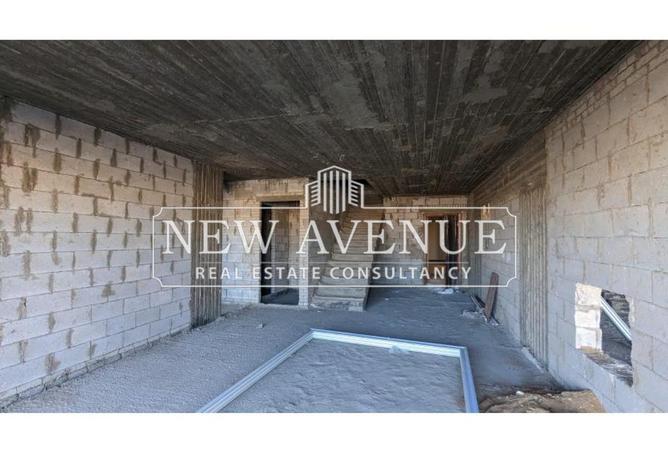 8206623 - Property Image 3