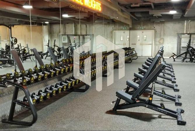 8191922 - Property Image 2