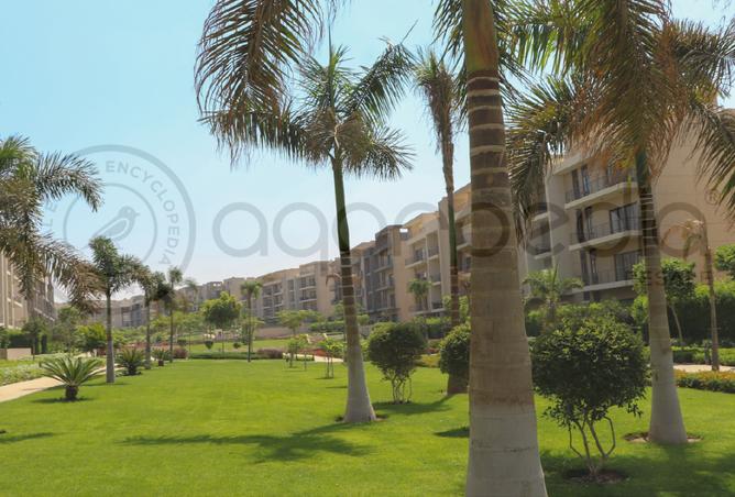 8214259 - Property Image 2