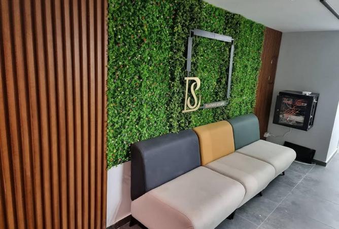 8436325 - صورة العقار 3