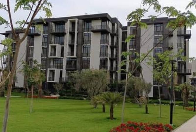 8202905 - صورة العقار 2