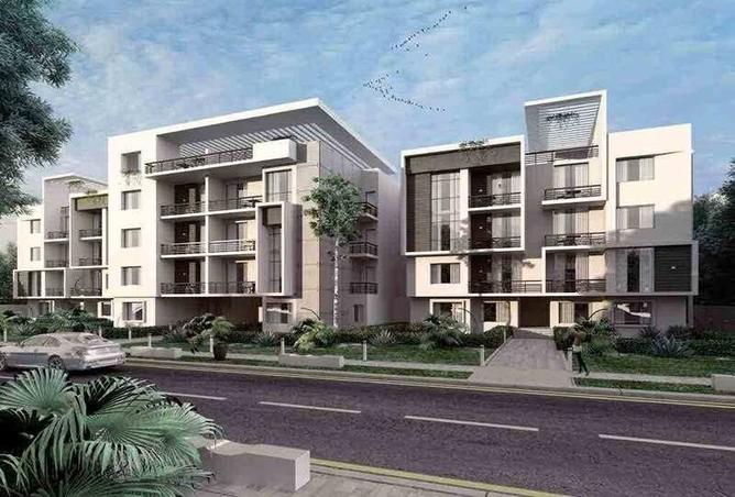 7990268 - Property Image 3