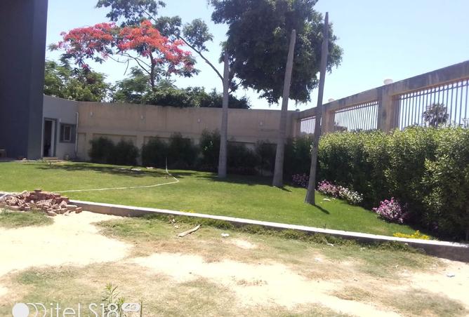 8309838 - صورة العقار 2