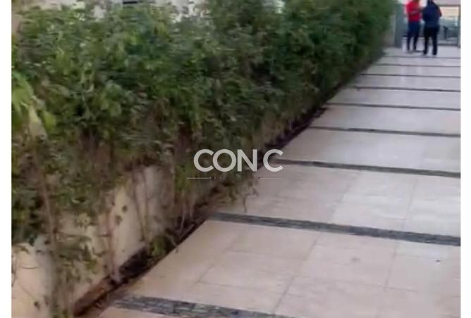 8457768 - Property Image 3