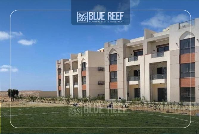 8259118 - Property Image 3