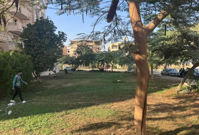 8306588 - صورة العقار 2