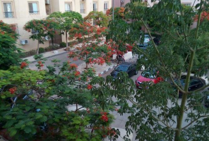 8550963 - الصورة الرئيسية للعقار