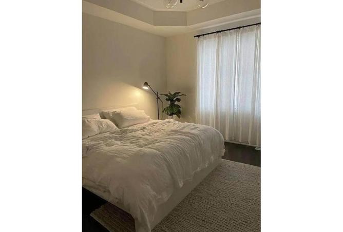 8124055 - Property Image 3