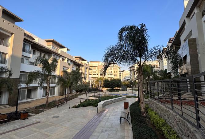 8266074 - Property Image 3