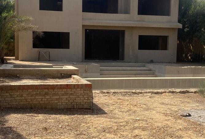 6914233 - صورة العقار 3