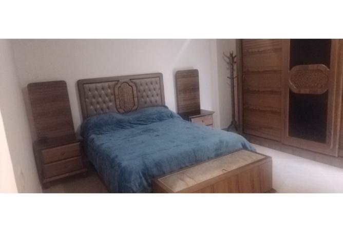 8006619 - Property Image 3