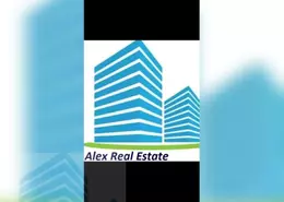 Apartment - 4 Bedrooms - 2 Bathrooms for rent in Al Geish Road - Azarita - Hay Wasat - Alexandria