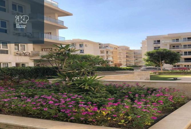 8132850 - Property Image 2