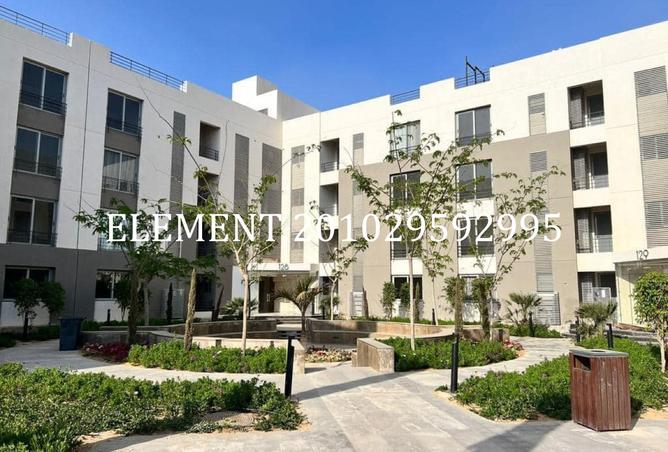 7903051 - صورة العقار 3