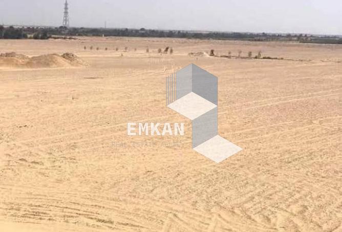 8561503 - صورة العقار 3