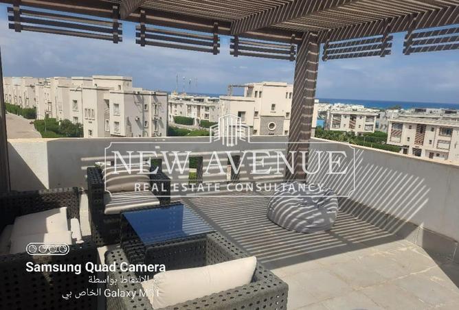 7966621 - Property Image 3