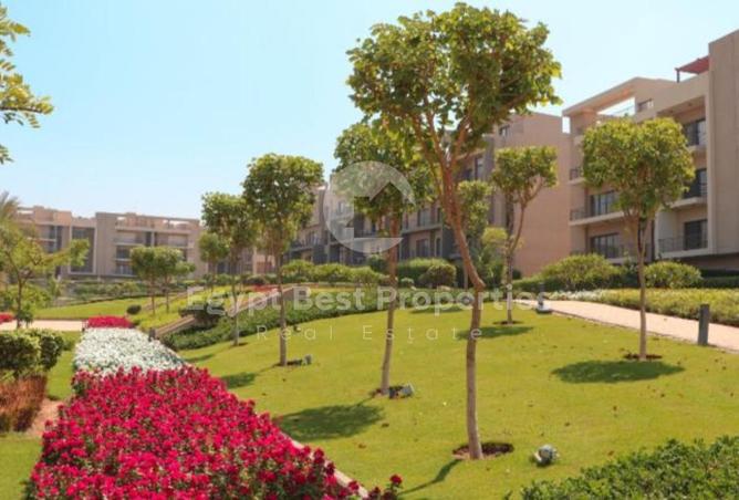 8144046 - Property Image 2