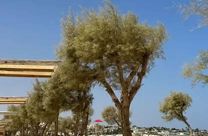 شاليه - 2 غرف نوم - 2 حمامات للبيع في سيلڤر ساندس - قسم مرسي مطروح - الساحل الشمالي
