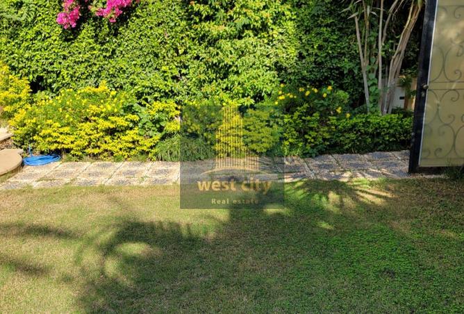 8093668 - Property Image 3