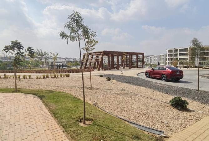 8181163 - Property Image 3