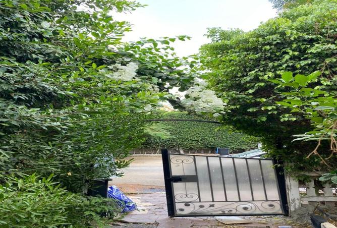 8022994 - صورة العقار 3