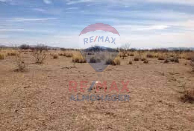 8376647 - Property Image 3