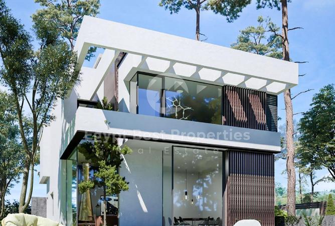 8323619 - Property Image 3