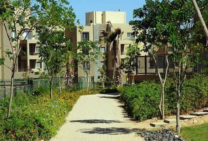 8373219 - Property Image 3